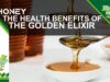 The Golden Elixir: Unveiling the Remarkable Health Benefits of Honey